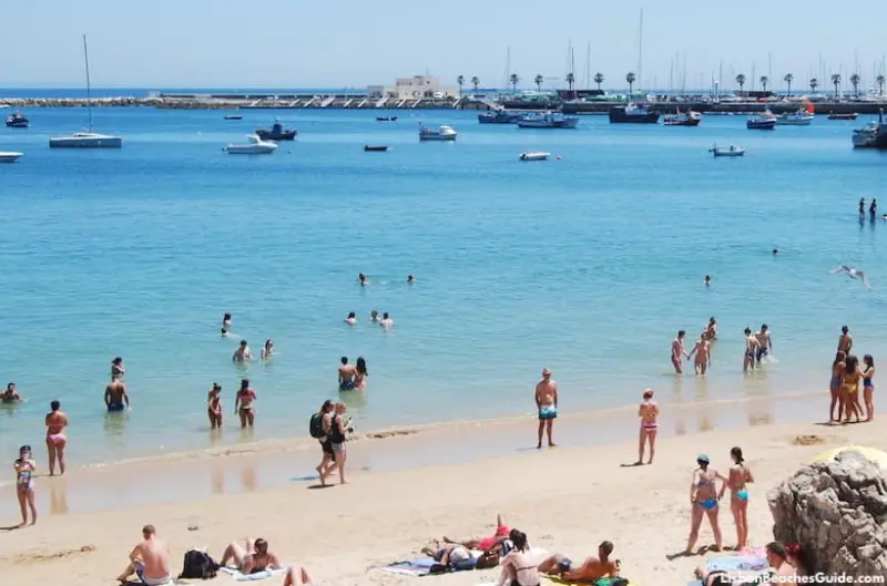 New Year's Swim