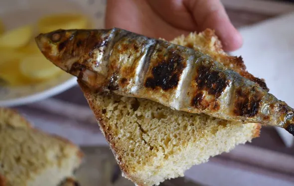 Grilled sardine on a slice of bread